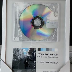 Song Entry (1 Submission)